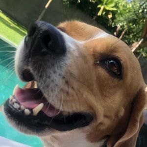 Meet your Posher, Natasha